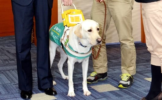 全国盲導犬施設連合会への寄付