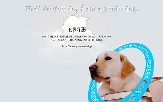 全国盲導犬施設連合会への寄付