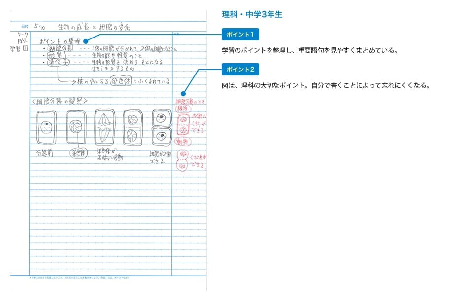 理科・中学3年生のノート