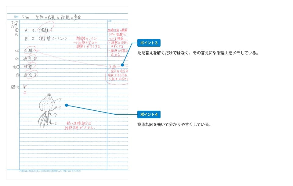 ポイント3：ただ答えを解くだけではなく、その答えになる理由をメモしている。 ポイント4：簡潔な図を書いて分かりやすくしている。