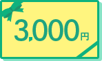 3,000円