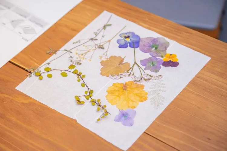 自由研究_小学生_押し花を作ろう