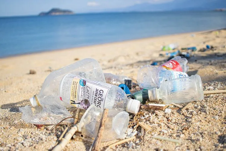 自由研究_小学生_海洋プラスチックゴミの調査をしてみよう