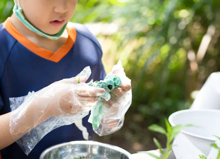 自由研究_小学生_野菜でハンカチを染色しよう