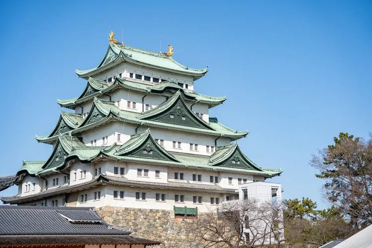 自由研究_中学生_城の敵襲から身を守る構造や、戦の歴史を調べる