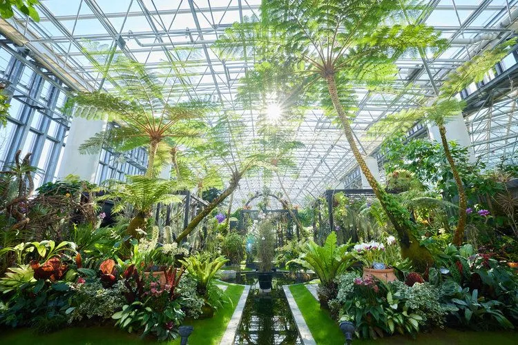 自由研究_中学生_光の変化による植物の成長観察