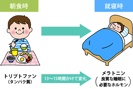 その1.　睡眠と朝食の意外な関係