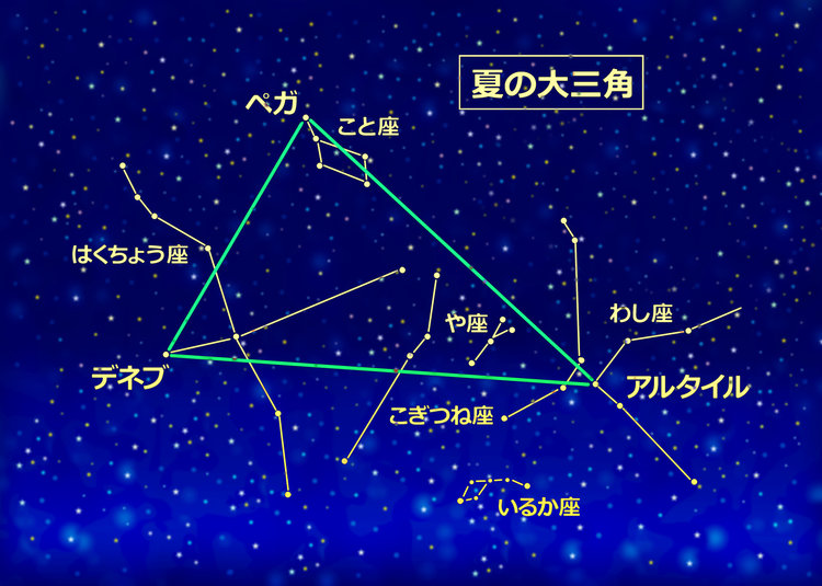 自由研究_小学生_星座の観察をしてみよう