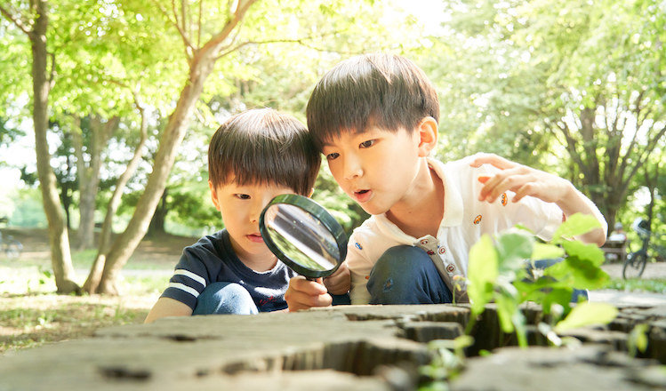 自由研究する小学生