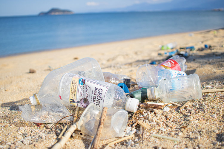 自由研究_小学生_海洋プラスチックゴミの調査をしてみよう