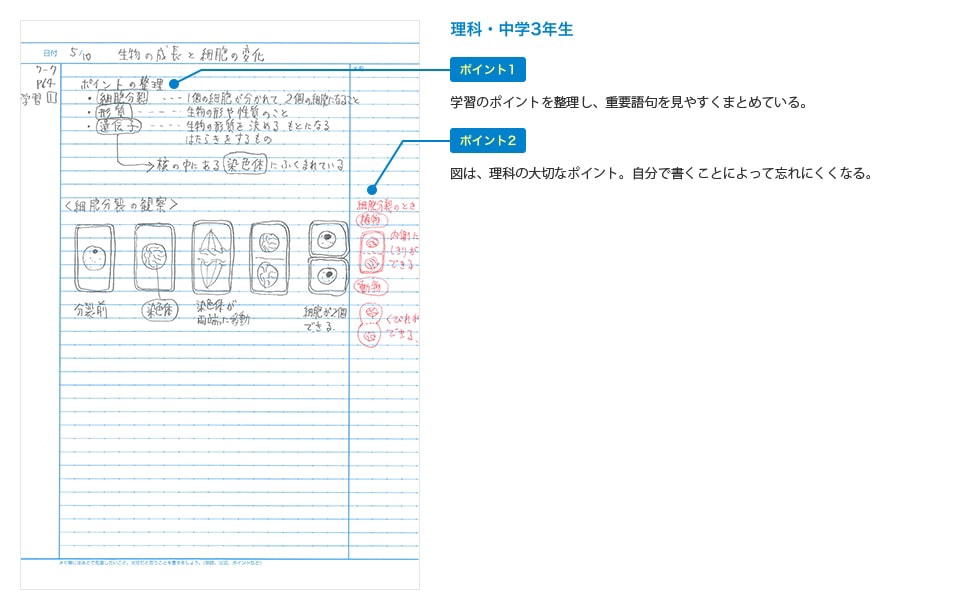 理科・中学3年生