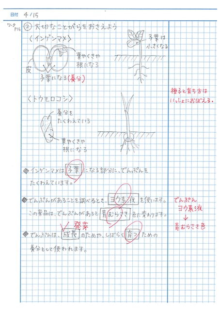 方眼ノート