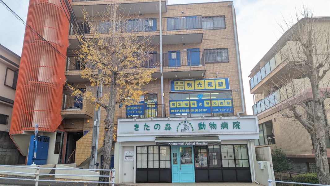 明光義塾