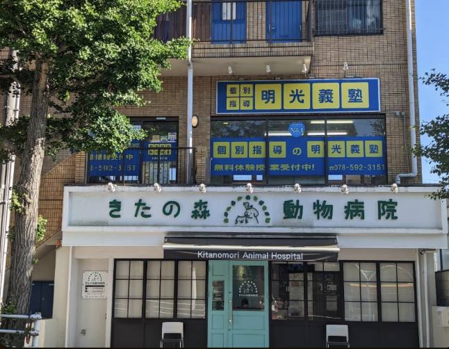 明光義塾