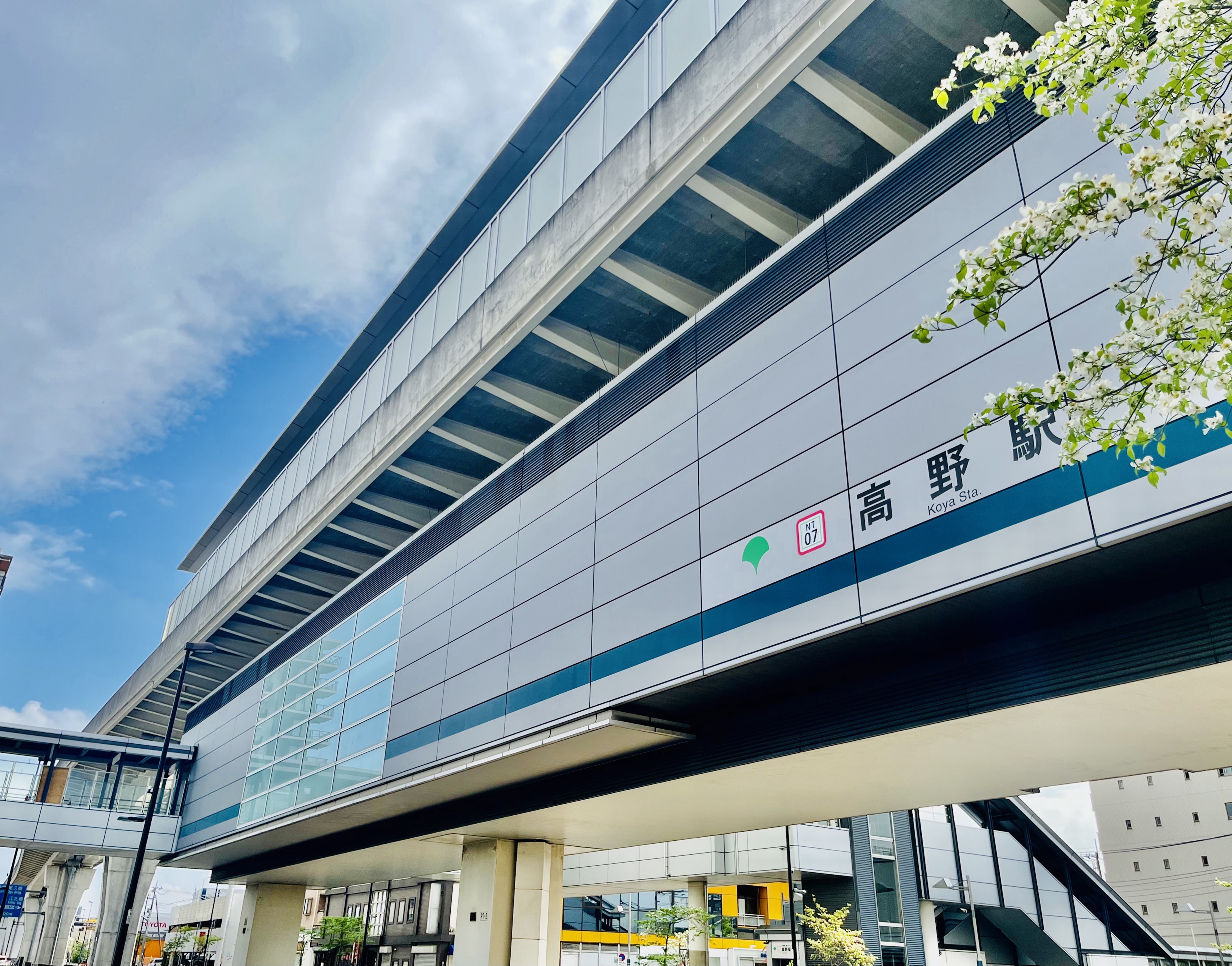 明光義塾 定規 明光義塾 定規